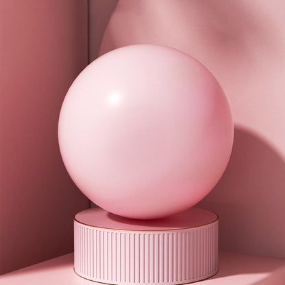 Ballon de Gym Haute Résistance | FitPro